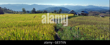 Baan Pa Bong Pieng (Blick auf Reis-Farm und bewölkten blauen Himmel von der lokalen Bevölkerung in den Bergen, nördlichen Teil von Thailand) Stockfoto