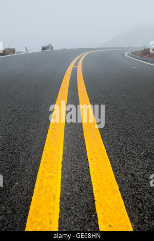 Nebel Abdeckung Bergstraße bis hin zum Haleakala National Park Stockfoto