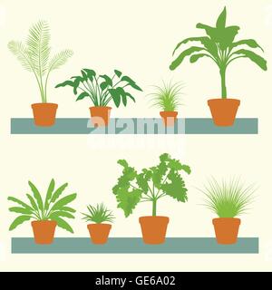 Pflanzen, grüne Palmen, Büsche in Töpfe Set Vektor Illustration Collection im Hintergrund Stock Vektor