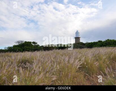 Woodman Point Lighthouse bei bewölktem Himmel hinter einer Wiese lila Brunnen Gräser in Coogee, Western Australia. Stockfoto