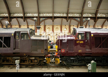 West Coast Eisenbahn Klasse 37 Lokomotiven im Bahnhof York, UK. Stockfoto