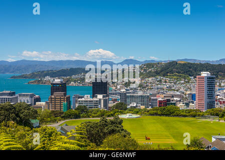 Wellington City Panorama, mit Cricket-Feld in den Vordergrund, von der Spitze der Seilbahn in Richtung Mt. Victoria, Nordinsel Stockfoto