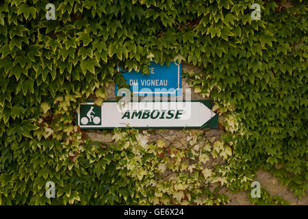 Blick auf eine Straßenschild einen Radweg führt zu Amboise in der Nähe von Chenonceaux, Frankreich, 25. Juni 2008. Stockfoto