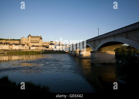 Blick auf das Schloss Amboise und der Loire in Frankreich, 26. Juni 2008. Stockfoto