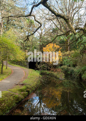 Terra Nostra Park Landschaft Stockfoto