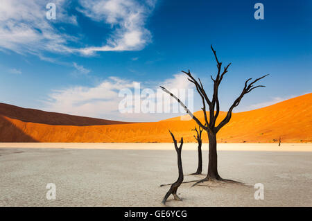 Tote Bäume und roten Dünen im Dead Vlei, Sossusvlei, Namibia, Konzept für Reisen in Afrika Stockfoto