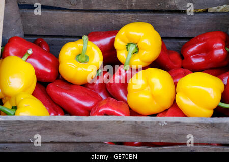 Frische gelbe und rote Paprika zum Verkauf in einer Holzkiste Stockfoto