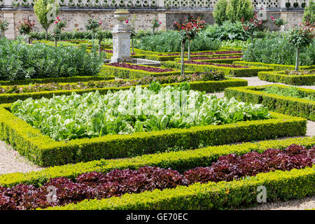 Schloss Villandry Gärten Loire-Tal-Frankreich Stockfoto