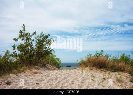 Sanddüne am Baltischen Meer in Jastarnia, Landschaft am Meer auf der Halbinsel Hel, Pommern, Polen, Europa Stockfoto