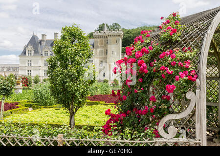 Schloss Villandry Gärten Loire-Tal-Frankreich Stockfoto