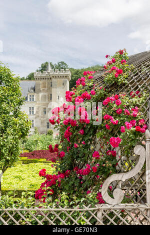 Schloss Villandry Gärten Loire-Tal-Frankreich Stockfoto