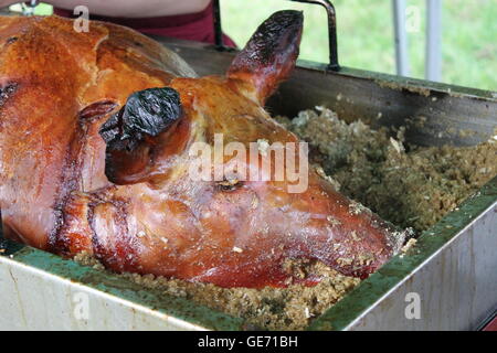 Schwein braten, Hog Kopf, Sommer essen, Grill, Grill, Schweinefleisch, Knistern, Apfelmus, Festival, camping, Metzgete, Schwein Pickin ' Stockfoto