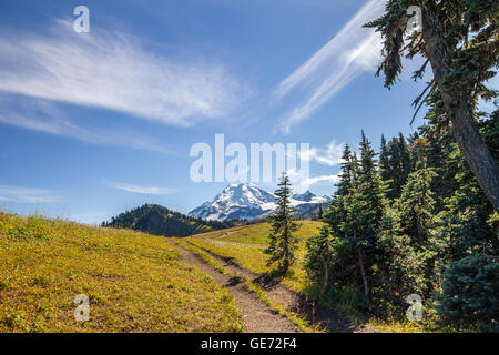 Entstehende bewaldeten Pfad auf den Wiesen von Skyline teilen mit Blick auf die vergletscherten Gipfel Mount Baker, WA Stockfoto