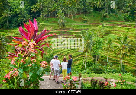 Bali, Indonesien - Touristen am Aussichtspunkt von Reis Terrasse eingereicht Stockfoto