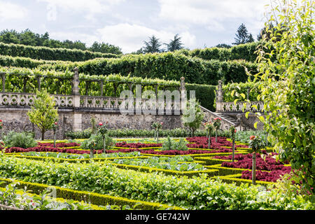 Schloss Villandry Gärten Loire-Tal-Frankreich Stockfoto