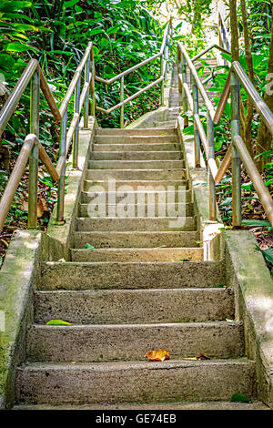Treppe durch den üppigen Dschungel-Einstellung von Wahiawa botanischen Gärten auf Oahu, Hawaii Stockfoto