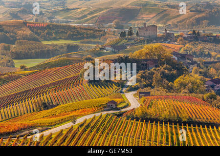 Schmale Straße durch bunte herbstliche Weinberge im Piemont, Norditalien. Stockfoto