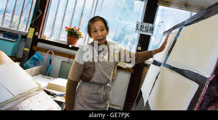 Traditionelles Papiermacherdorf, Japan Stockfoto