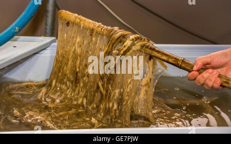 Japanische Papierherstellung Fabrik, Gokayama, Japan Stockfoto