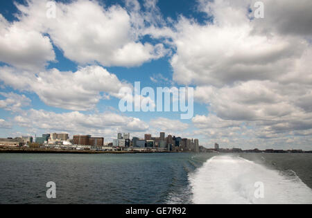 Boston Harbor Whale Watching Abenteuer Stockfoto