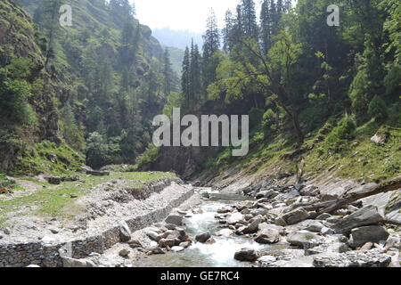 Nahm dieses Foto beim trekking im Himalaya von Sankri in Uttarkhand, Chitkul in Himacha Pradesh über den Borasu Pass. Stockfoto