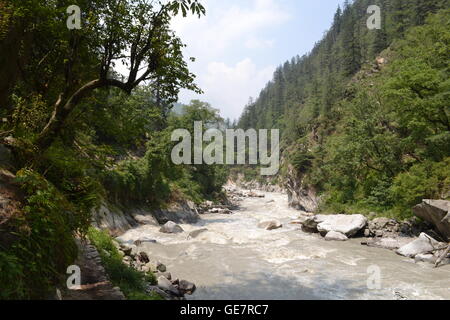 Nahm dieses Foto beim trekking im Himalaya von Sankri in Uttarkhand, Chitkul in Himacha Pradesh über den Borasu Pass. Stockfoto