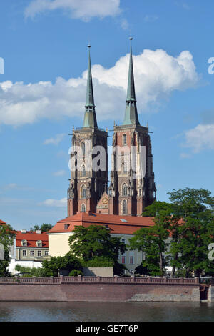 Dominsel mit der Kathedrale des Heiligen Johannes von Wroclaw in Polen. Stockfoto