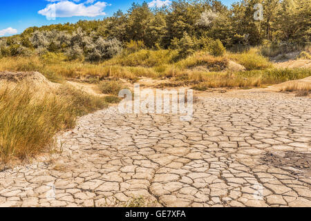 Details einer getrockneten rissige Erde Erde. Stockfoto