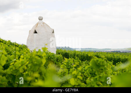 Weingut Unterschlupf im Stil einer italienischen Trullo in Rheinhessen, Deutschland, Rhein-Hessen. Stockfoto