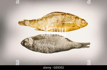 geräucherte und getrocknete Fische Stockfoto