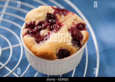 Kuchen mit Kirschen und Puderzucker. Stockfoto