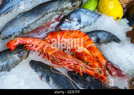 frische Meeresfrüchte im Kühlschrank das Fischrestaurant in Kreta, Griechenland Stockfoto