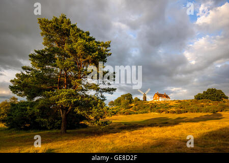 Reigate Heath Golf Course Clubhouse und Windmühle, Surrey England Vereinigtes Königreich Stockfoto