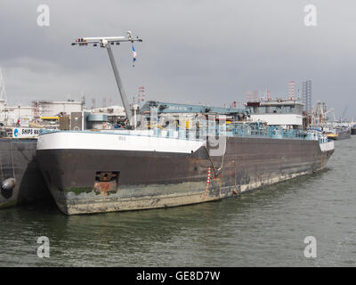 Oslo (Schiff, 2010), ENI 06105078 pic1 Stockfoto