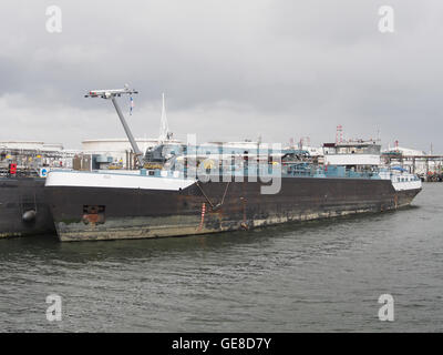 Oslo (Schiff, 2010), ENI 06105078 pic3 Stockfoto