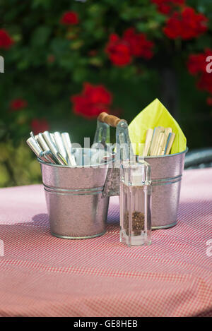 Spice Shaker und Besteck in zwei Zink-Becher auf eine rote karierte Tischdecke im Sonnenlicht vor roten und weißen Geranie Blüten Stockfoto