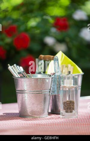 Spice Shaker und Besteck in zwei Zink-Becher auf eine rote karierte Tischdecke im Sonnenlicht vor roten und weißen Geranie Blüten Stockfoto