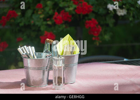 Spice Shaker und Besteck in zwei Zink-Becher auf eine rote karierte Tischdecke im Sonnenlicht vor roten und weißen Geranie Blüten Stockfoto