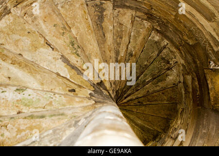 Tutbury Castle, Burton-nach-Trent, Staffordshire, UK Stockfoto