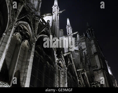 Notre Dame de Paris im Noir-Stil Stockfoto
