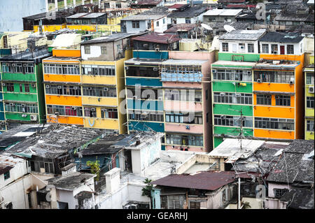 Hong Kong, Hong Kong. 17. November 2012. Ausgewachsener Baum wächst aus der Wand eines Gebäudes in Hong Kong. Blick vom Dach des 40 Ma Tau Kok Straße nach Kwa Wan, Kowloon City Hong Kong mit Blick auf Kowloon City Road. © Jayne Russell/ZUMA Draht/Alamy Live-Nachrichten Stockfoto