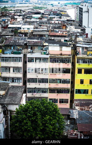 Hong Kong, Hong Kong. 17. November 2012. Ausgewachsener Baum wächst aus der Wand eines Gebäudes in Hong Kong. Blick vom Dach des 40 Ma Tau Kok Straße nach Kwa Wan, Kowloon City Hong Kong mit Blick auf Kowloon City Road. © Jayne Russell/ZUMA Draht/Alamy Live-Nachrichten Stockfoto