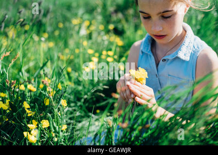 GRL Blumen pflücken von Wiese Stockfoto