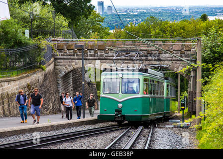 Drachenfels Berg, Siebengebirge, sieben Gebirge Gebiet, Deutschland, Rack Rheintalbahn zur Ansicht zeigen an der Spitze, Stockfoto