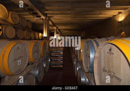 Innendetails Jose Ferrer Vineyard in Binissalem, Mallorca, Spanien. Stockfoto