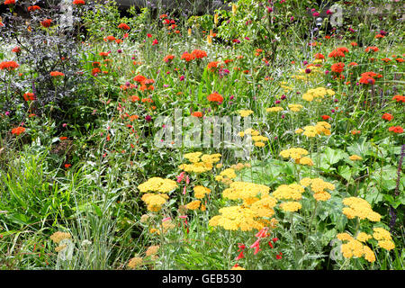 Gartengestalter Nigel Dunnett Sommer Pflanzen Design Buche Gärten am Barbican Wohnsiedlung in der Stadt London EC2Y UK KATHY DEWITT Stockfoto