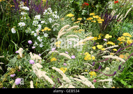 Gartengestalter Nigel Dunnett Sommer Pflanzen Design Buche Gärten am Barbican Wohnsiedlung in der Stadt London EC2Y UK KATHY DEWITT Stockfoto