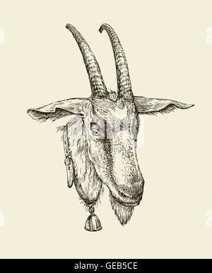 Hand gezeichnet Ziege. Skizzieren Sie ein Nutztier. Vektor-illustration Stock Vektor