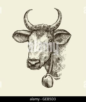 Hand gezeichnet, Kuh, Stier. Skizzieren Sie ein Nutztier. Vektor-illustration Stock Vektor