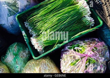 Grüne Zwiebel auf dem Straßenmarkt in Vietnam Stockfoto